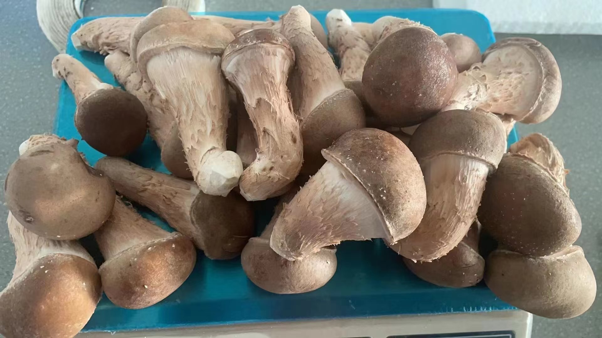 微(wēi)信圖片_20240604140602