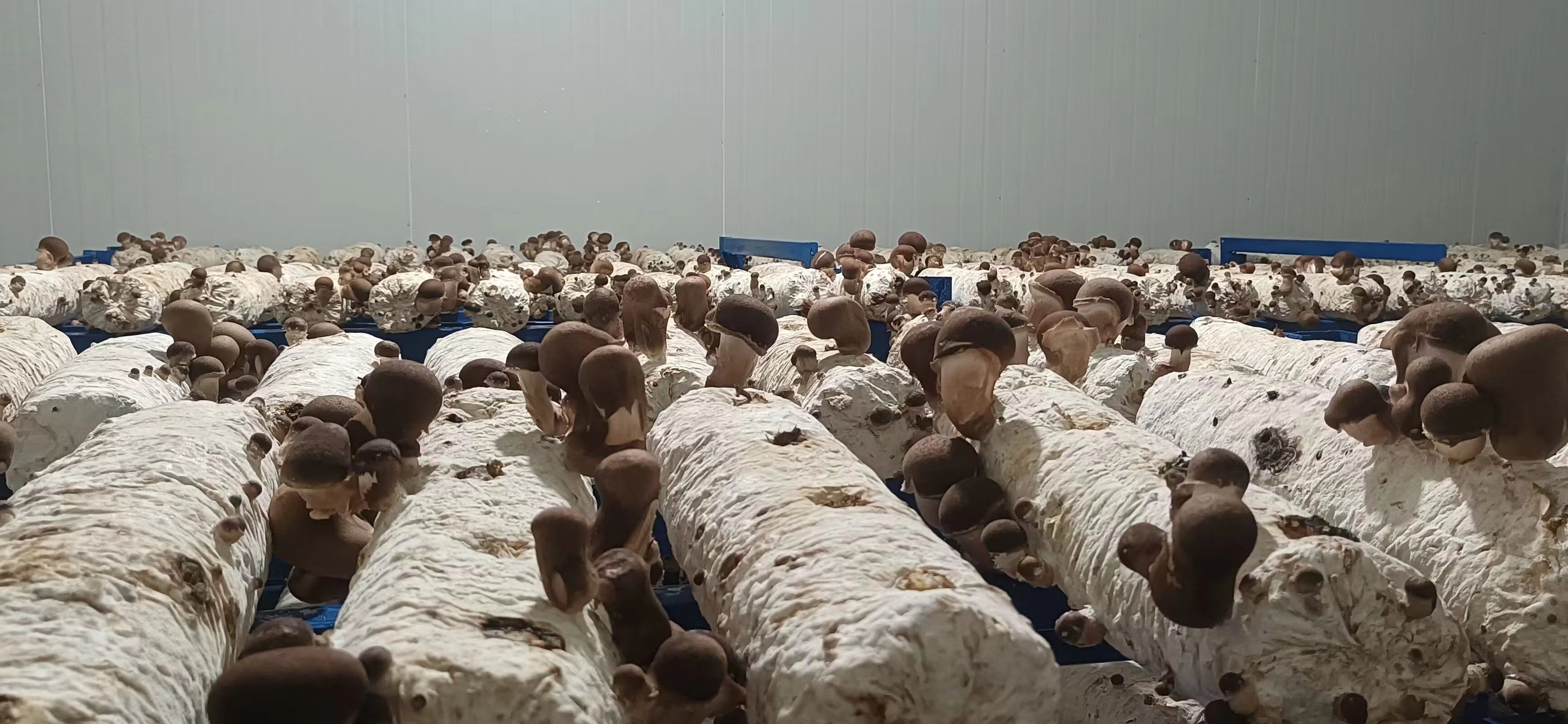 微(wēi)信圖片_20240604140507