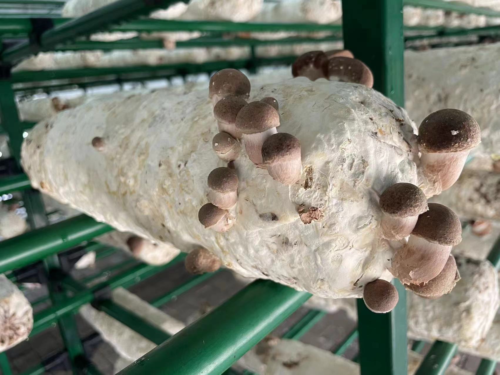 微(wēi)信圖片_20240604140701